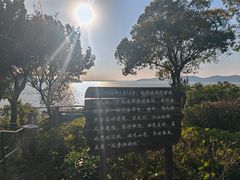 -上海市保健医疗中心