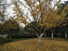 -昆山城市公园