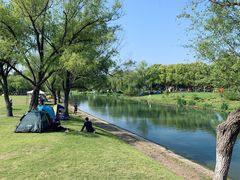 -东方绿舟景区