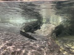 -福州罗源湾海洋世界旅游区