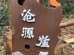 -沧源崖画