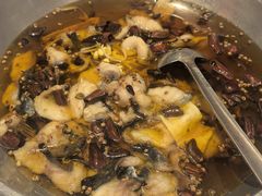 -辣婆婆(航天桥店)