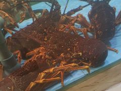 -旺顺阁海鲜广场(亚运村店)