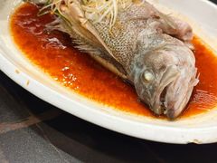铁板烤汁鲈鱼-国人川菜(李家村建东街店)