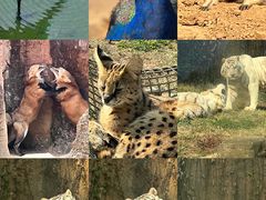 -杭州野生动物世界