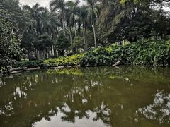 -云溪植物园