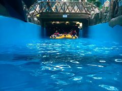 -青岛东方影都融创水世界