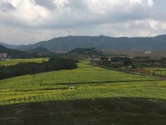 -光明小镇欢乐田园