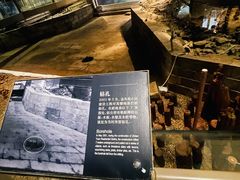 -元代水闸遗址博物馆