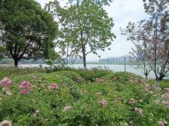 -天鹅湖体育公园