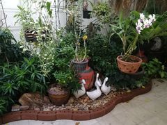 -曼谷王子宫殿酒店