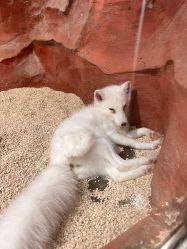 -Zoolung Zoolung动物主题公园(海信广场店)