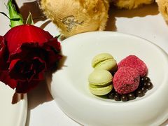 -蝶舍·MAISON PAPILLON