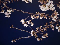 -永乐路-路侧停车场