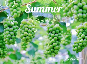 告别夏天的仪式—到嘉定采葡萄