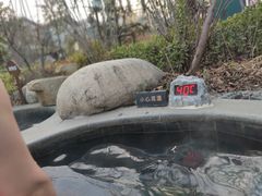 -太白山御龙湾温泉