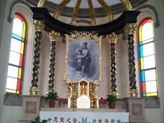 -上海佘山国家森林公园西佘山园