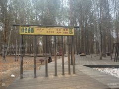 -北极村旅游风景区