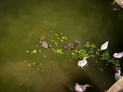 -天毓山庄·餐厅