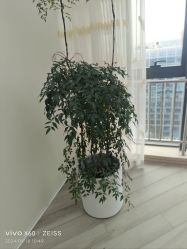 -HEYAN荷妍专业脱毛连锁机构
