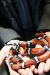 -酷嗒动物文化乐园(cutezoo西溪乐天城店)