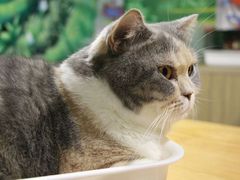 -藦茜花园宠物主题亲子互动体验馆(国顺东路店)