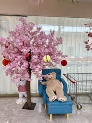 -贝安心月子中心(昌平店)