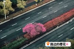 -玥奢国际母婴护理中心(滨江宝龙店)