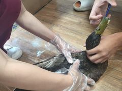 -瑞派·关忠动物医院·异宠专科·犬猫肿瘤·皮肤专科(望京店)