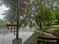 -重庆彩云湖湿地公园