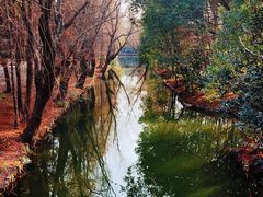 -同里国家湿地公园