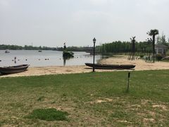 -杭州湾海上花田景区