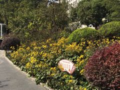 -兰溪青年公园
