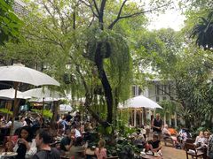 -Fern Forest Cafe