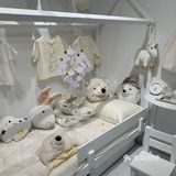 白色蒲公英的约定
