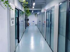-引领英语·成人口语·雅思托福