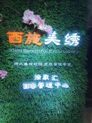-西施无菌半永久纹绣眉眼影唇轻增发纹发际线