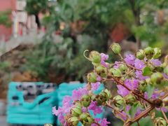 -长春观