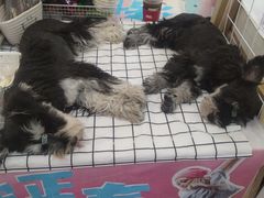 -万达广场(太原街店)