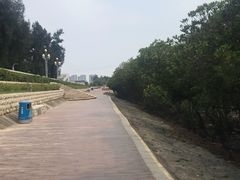 -宝安西湾红树林湿地公园