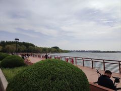 -丁香湖公园