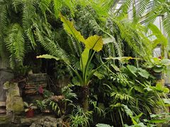 -国家植物园南园