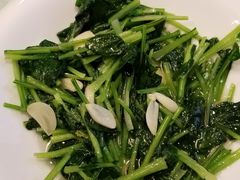 -陶然饺子城(奥体中路店)