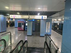 -大龙山(地铁站)