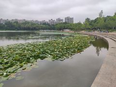 -新江湾城公园