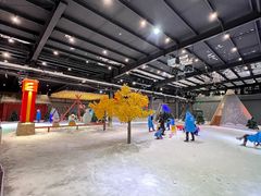 -宁波冰雪大世界(北仑区)