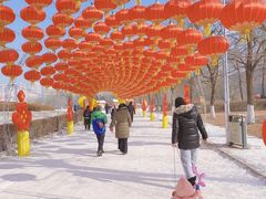 -沈阳奥体冰雪嘉年华