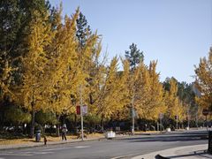 -浙江农林大学(东湖校区)