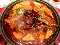 -眉州东坡(望京店)