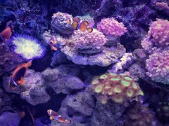 -大连老虎滩海洋公园